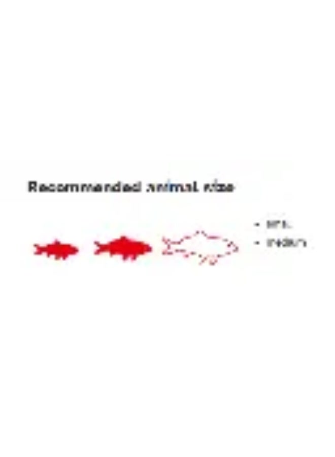 سيرا جولدي نيتشر غذاء للأسماك – 250 مل - Image 3