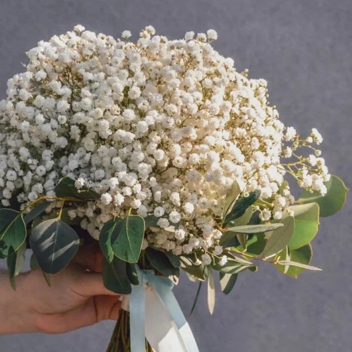 Bluejw O-039 Dried Preserved Baby's Breath Wedding Bouquet – Real Gypsophila Dried Plants for Home Decor, Long-Lasting Floral Arrangement - Image 2
