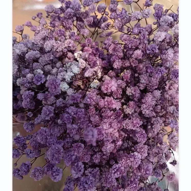 Bluejw O-039 Dried Preserved Baby's Breath Wedding Bouquet – Real Gypsophila Dried Plants for Home Decor, Long-Lasting Floral Arrangement - Image 1