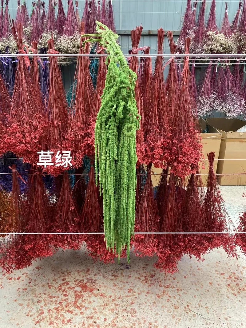 Bluejw Red White Black Dried Amaranthus - Frozen Preserved Fresh Real Amaranthus Dry Flower for Wedding Events DIY Floral Arrangements & Home Decor - Image 1
