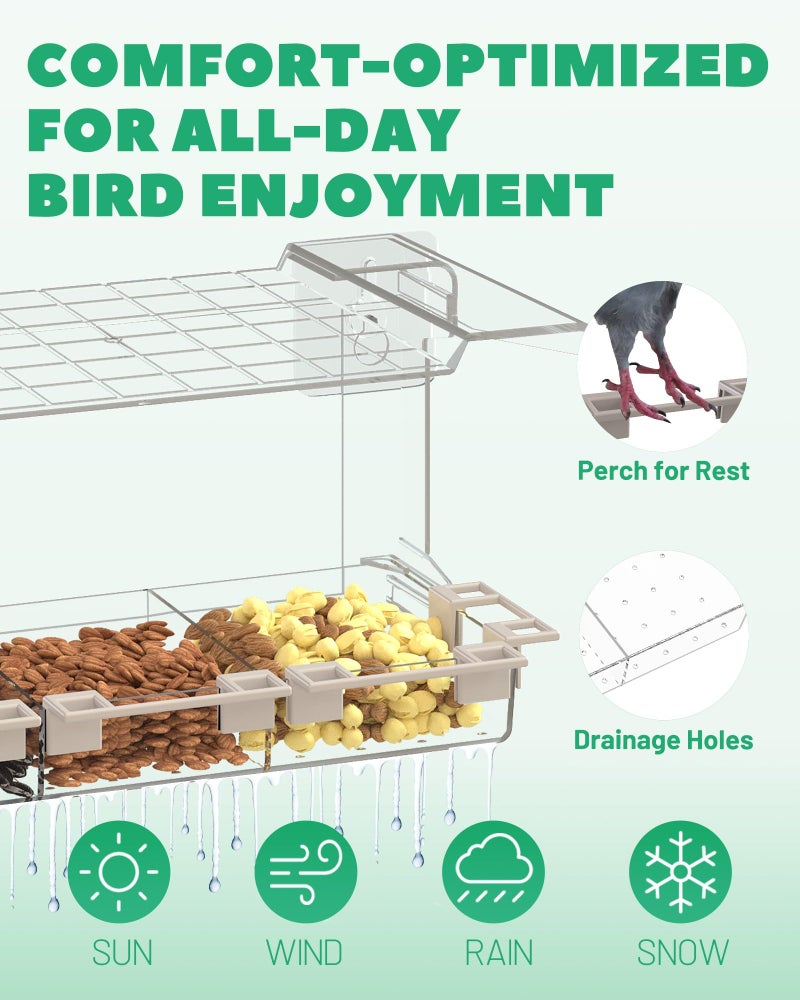 LMHOME Clear Window Bird Feeder Outdoors - Bird Feeder for Viewing with 5 Perching Stands, Self-Adhesive Hooks, Drain Holes and Removable Tray, as a Birdhouse, Garden Decor - Image 4