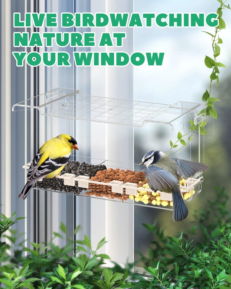 LMHOME Clear Window Bird Feeder Outdoors - Bird Feeder for Viewing with 5 Perching Stands, Self-Adhesive Hooks, Drain Holes and Removable Tray, as a Birdhouse, Garden Decor - Image 5