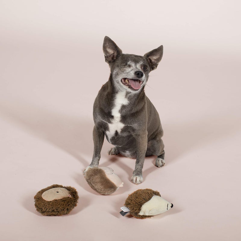 FRINGE STUDIO Pet Toy, Small Dog Toy Set, Hedgehogs, 3 Pieces (289408) - Image 2