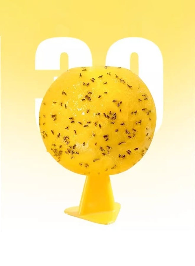 Generic 2PC Sticky Fruit Fly Traps, Fungus Gnat Traps, Flying Mosquito Traps, Non-Toxic & Odorless, for Indoor, Outdoor, Home, Kitchen, Plants, Trees, Flying Insects  - Image 5