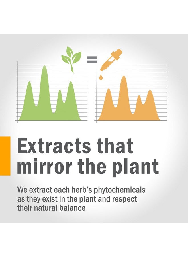 Herb Pharm Certified Organic Lobelia Liquid Extract for Musculoskeletal System Support - 1 Ounce (DLOBEL01) - Image 4