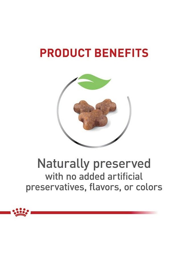 رويال كانين طعام جاف للقطط الصغيرة من رويال كانين فيلين هيلث نيوتريشن، يدعم صحة الجهاز الهضمي، ويدعم المناعة، ويمنحها طاقة صحية، كيس 3 أرطال - Image 5