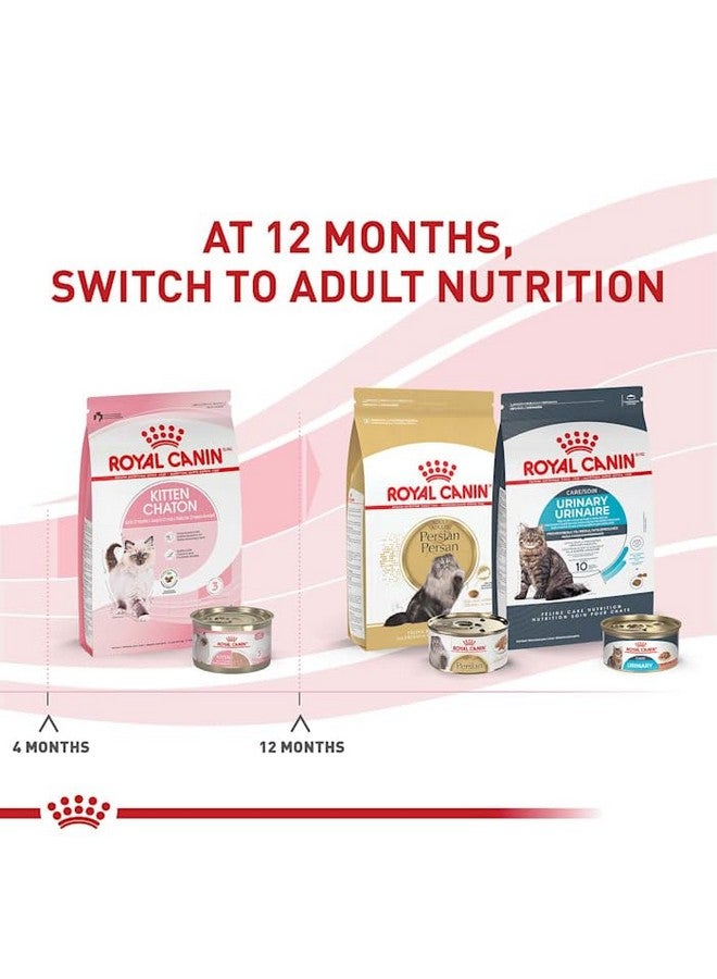 رويال كانين طعام جاف للقطط الصغيرة من رويال كانين فيلين هيلث نيوتريشن، يدعم صحة الجهاز الهضمي، ويدعم المناعة، ويمنحها طاقة صحية، كيس 3 أرطال - Image 3