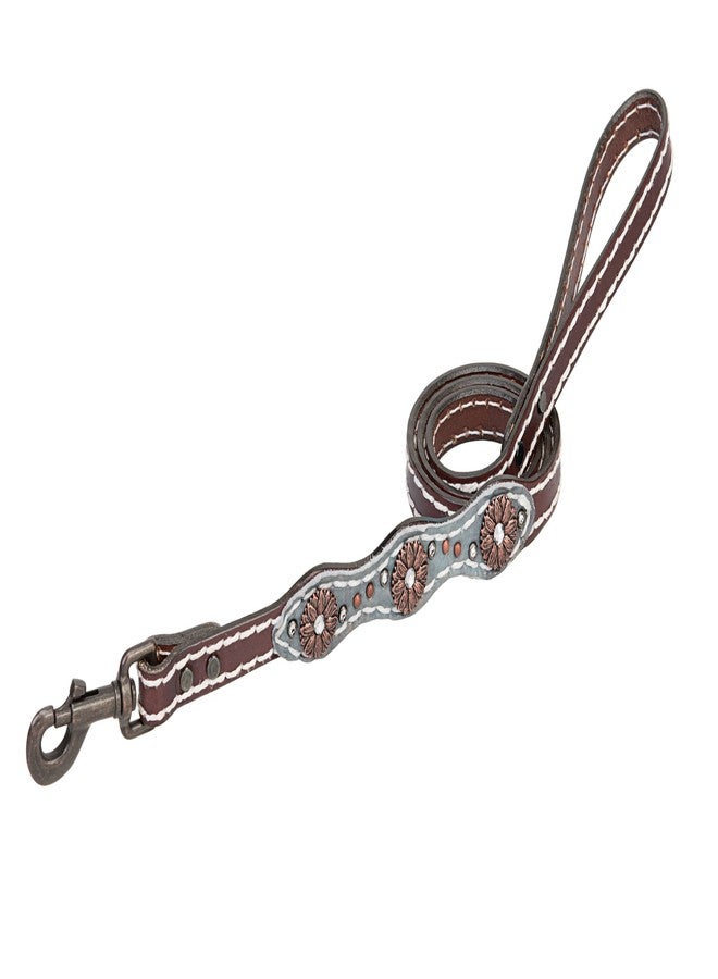 Weaver Pet Savannah Dog Leash Brown/Metallic Turquoise, 3/4 X 4-Inch