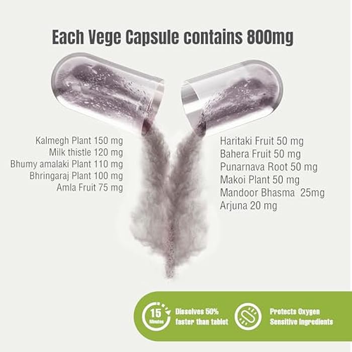Herbsforever Liver Forte- Support Advanced Liver Detox & Cleansing,Repair-Cooling-Milk Thistle,Andrographis,Chanca Piedra,Punarnava, Nightshade,Triphala 11 Ayurvedic Herb Extract|90 Veg Capsule|800mg - Image 2