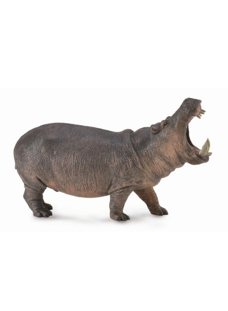 Collecta - Hippopotamus - 88833