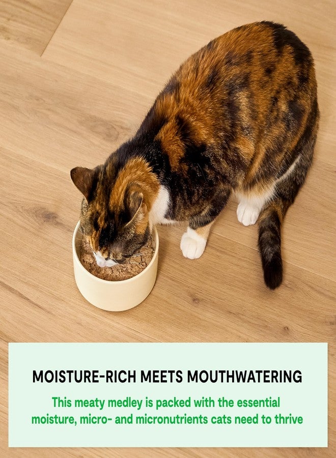 Open Farm طعام القطط الرطب من أوبن فارم روستيك بلند، مزيج كامل ومتوازن بمكونات صالحة للاستهلاك البشري، ولحوم من حيوانات تربى بطريقة إنسانية، وخضراوات غير معدلة وراثيًا ومرق عظام، وصفة الرنجة والماكريل، عبوات 5.5 أونصة (كرتونة من 12 عبوة) - Image 3