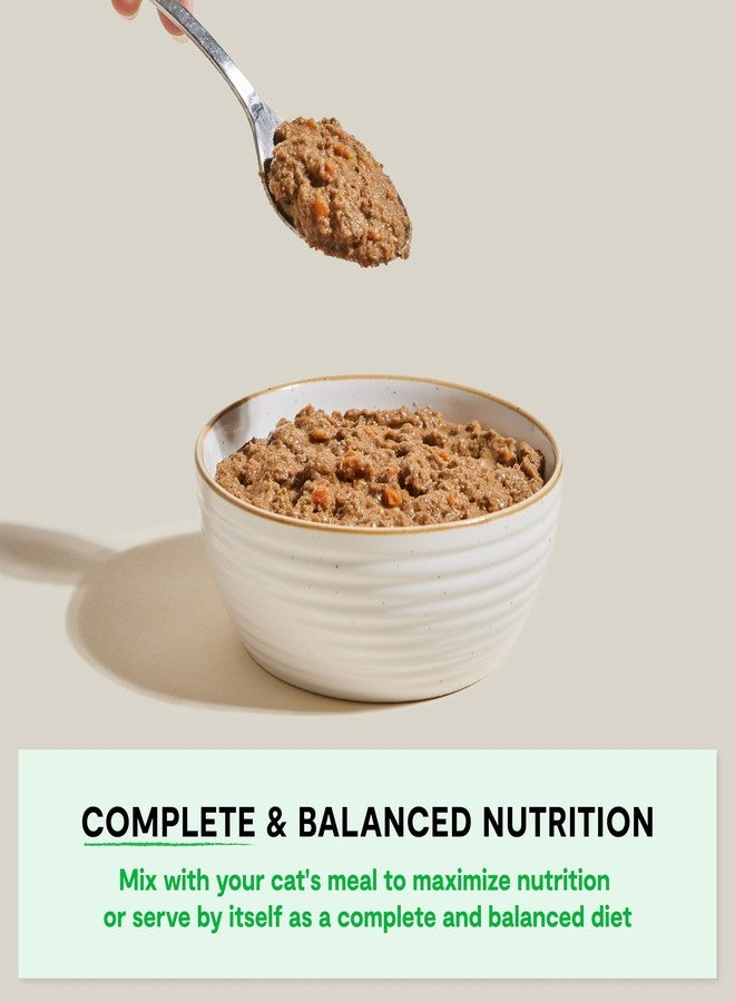 Open Farm طعام القطط الرطب من أوبن فارم روستيك بلند، مزيج كامل ومتوازن بمكونات صالحة للاستهلاك البشري، ولحوم من حيوانات تربى بطريقة إنسانية، وخضراوات غير معدلة وراثيًا ومرق عظام، وصفة الرنجة والماكريل، عبوات 5.5 أونصة (كرتونة من 12 عبوة) - Image 2