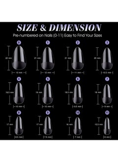 gelike ec Short Almond Nail Tips: Soft Gel X False Nail Tips Full Cover For Nail Extensions - Acrylic Nails Professional Clear Gelly Tips Preshaped Pmma, 12 Sizes, 240Pcs  - Image 5