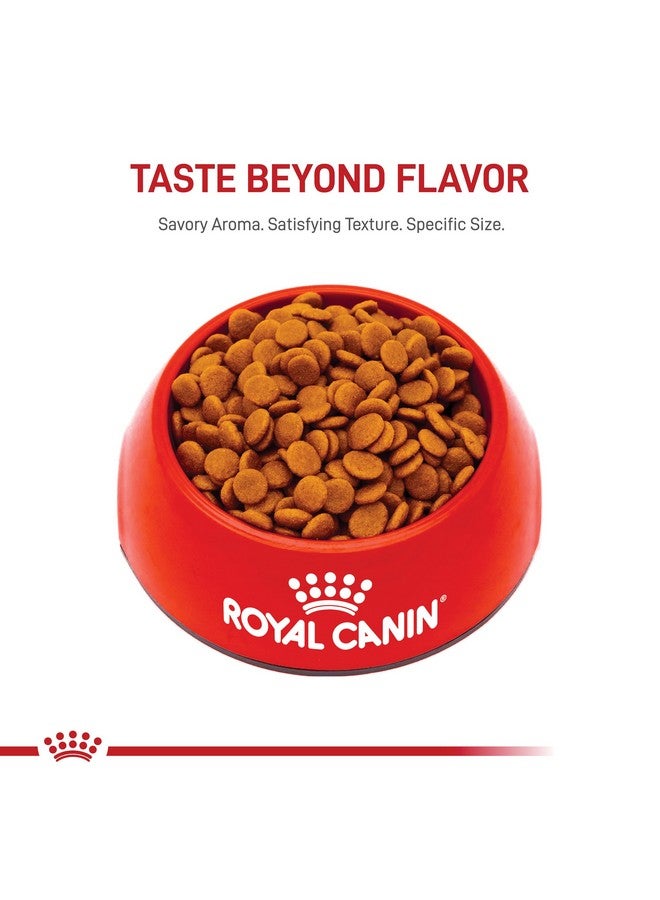 رويال كانين طعام جاف للكلاب الصغيرة من شركة دايجستيف كير، كيس 3.5 رطل - Image 5