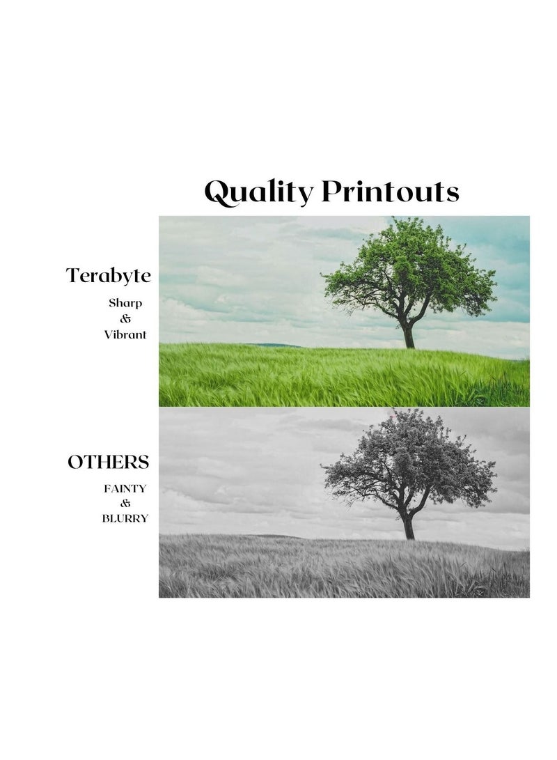 Terabyte TN273 TERABYTE TONER CATRIDGE CYAN - Image 4