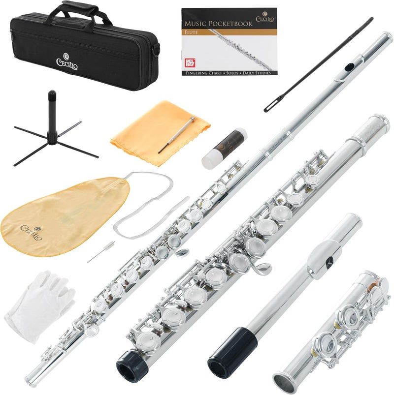 Cecilio Closed Hole C Flute - Musical Instrument, Beginner/Intermediate Flute in Band & Orchestra, Nickel - Image 1