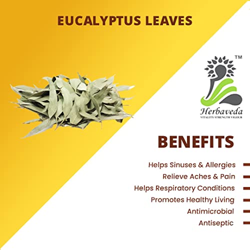 LEANBEING Herbaveda- Eucalyptus leaves 200g | Reduces Stress | Lower Blood Sugar Level - Image 3