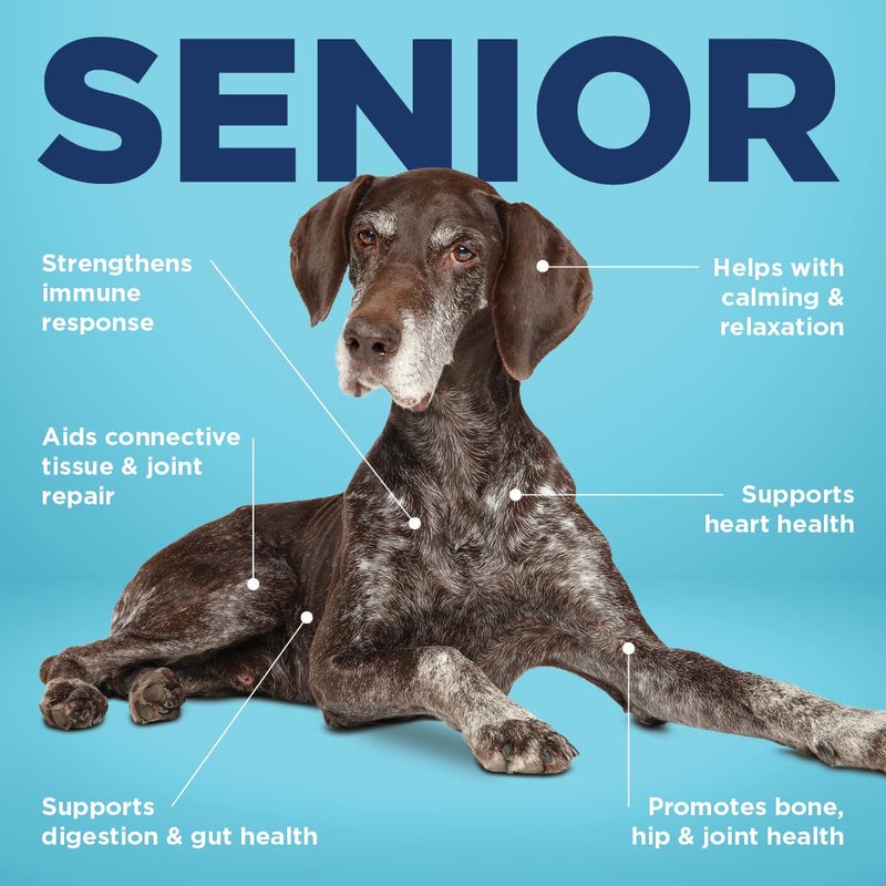 Vetericyn All-in 1 Multifunctional Senior Dog Supplement | Digestive Enzymes + Glucosamine Chondroitin for Hip and Joint Support + Vitamins, Antioxidants, Prebiotics, Probiotics, and Omegas. 90 Count - Image 2
