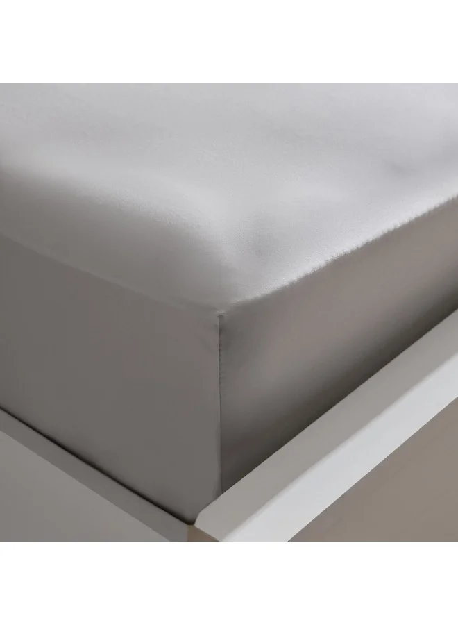 Home Box Opulent Luxe Solid Cotton Queen Fitted Sheet 200 x 40 x 150 cm