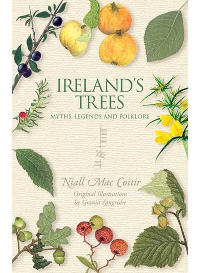 Ireland s Trees - Paperback