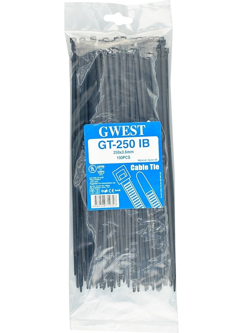 GWEST Gt 250IB 250 x 3.6 mm Black Cable Tie  - Image 1