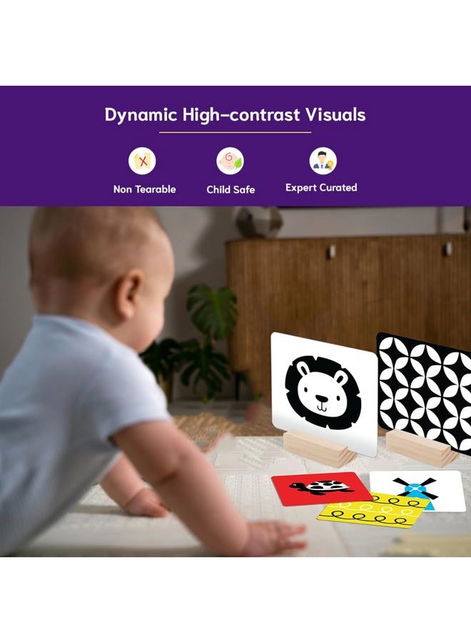 GiniMini High Contrast Flashcards for Newborn – Total 60 Pictures: 30 Primary Colours & 30 Black & White for Visual Development, Focus & Attention, Easy for Little Hands to Hold & Use (Age 0-1) - Image 4