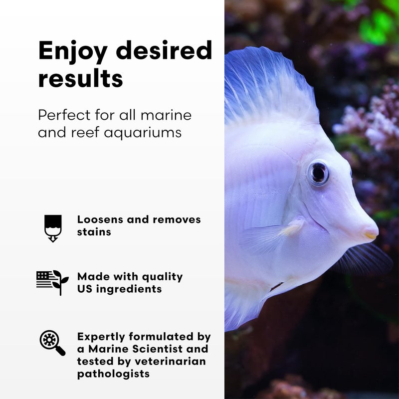 Continuum Aquatics Bacter Clean M for Reef & Marine Aquariums â€“ Loosens Detritus, Cleans Live Rock, Reduces Organic Waste & Enhances Water Clarity Naturally, 500ml - Image 2