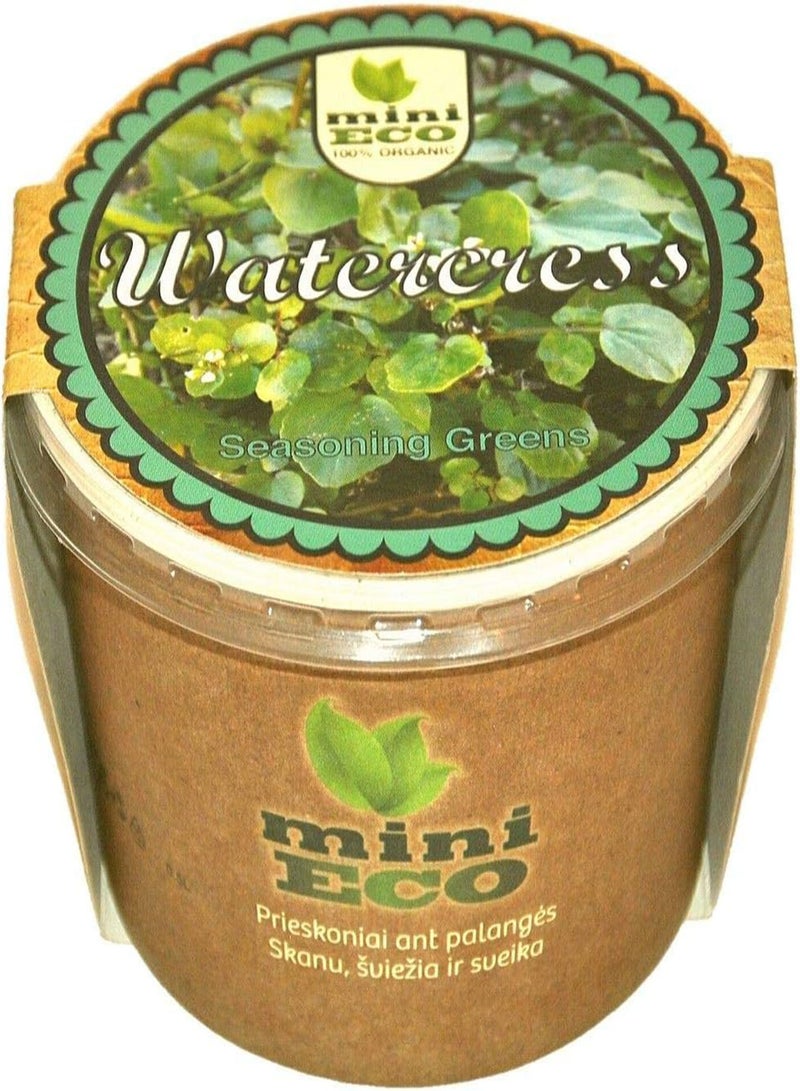 GGOOT seeds Package: 30 Watercress Grow Kit Microgreens Organic Sprouting Cress Gift Bio by seeds - Image 2