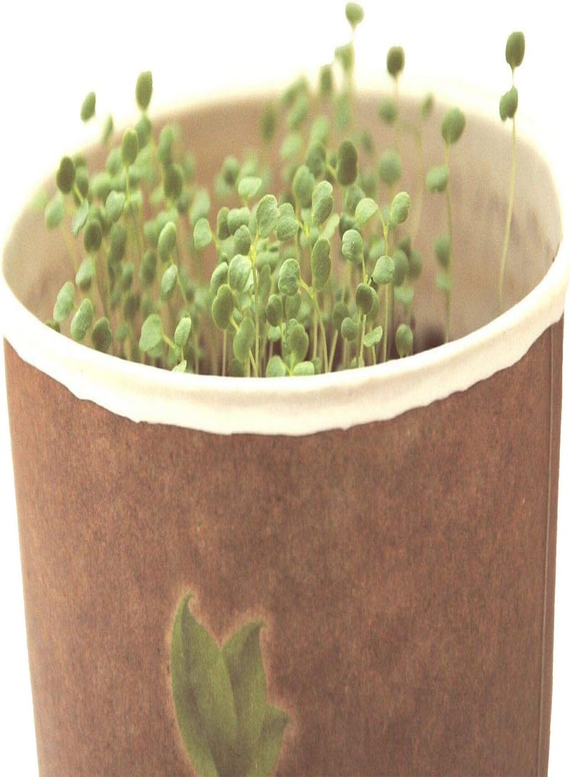 GGOOT seeds Package: 30 Watercress Grow Kit Microgreens Organic Sprouting Cress Gift Bio by seeds - Image 4
