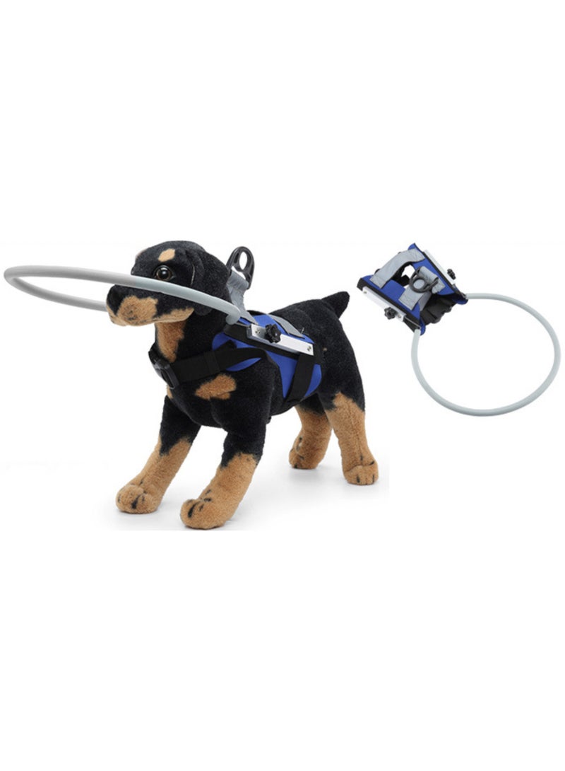 Blind Dog Safety Gear, Anti-Collision Ring for Dogs with D-Ring, Reflective Bumper Collar Blue-Upgrade - Image 1