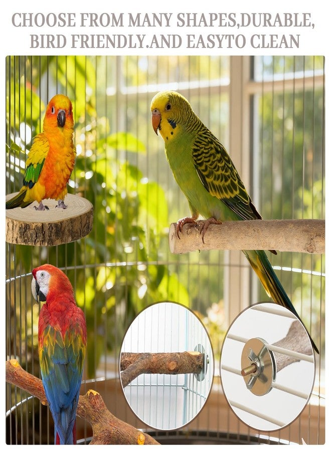 StyEdEk 8 Pack Natural Wood Bird Perches Parrot Perch Stand Parakeet Toys Bird Cage Accessories for Budgerigar Cockatiels, Conures - Image 5