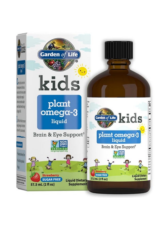 Garden of Life Plant Omega-3 Ala, Dha & Epa Supplement for Children -Liquid, Strawberry - Vegan Brain & Eye Support for Kids, Sugar Free & Non-GMO - 2 Fl Oz - Image 1