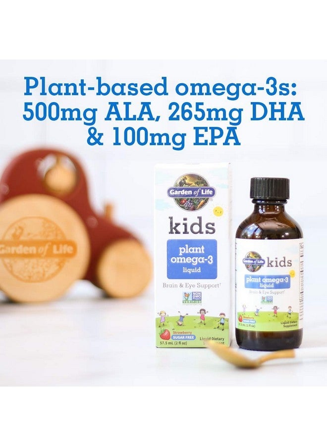 Garden of Life Plant Omega-3 Ala, Dha & Epa Supplement for Children -Liquid, Strawberry - Vegan Brain & Eye Support for Kids, Sugar Free & Non-GMO - 2 Fl Oz - Image 3
