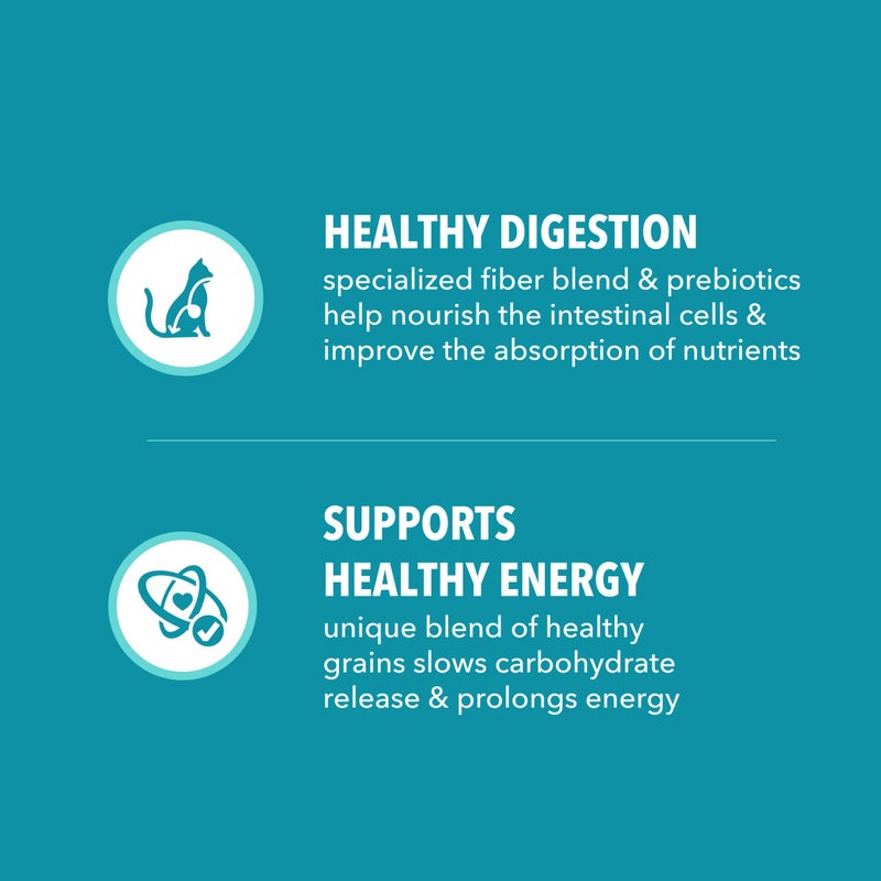 IAMS Proactive Health Indoor Weight Control & Hairball Care Adult Dry Cat Food, Chicken & Turkey Recipe, 7 lb. Bag - Image 5