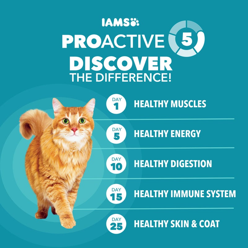 IAMS Proactive Health Indoor Weight Control & Hairball Care Adult Dry Cat Food, Chicken & Turkey Recipe, 7 lb. Bag - Image 4
