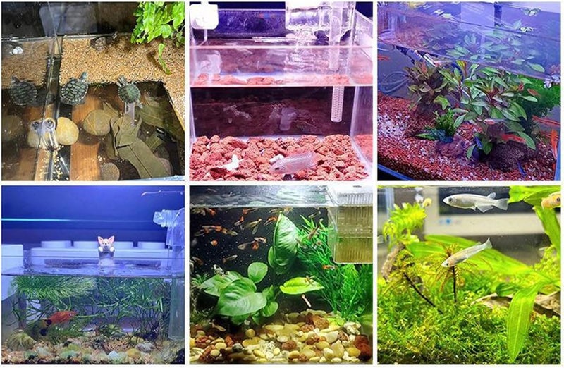 Odluzy Mini Clip On Aquarium Light 7W Dimmable Small Fish Tank Light USB Moving Lamp, Small Aquarium Light for Nano Tank with Multi-Color LEDs - Image 4