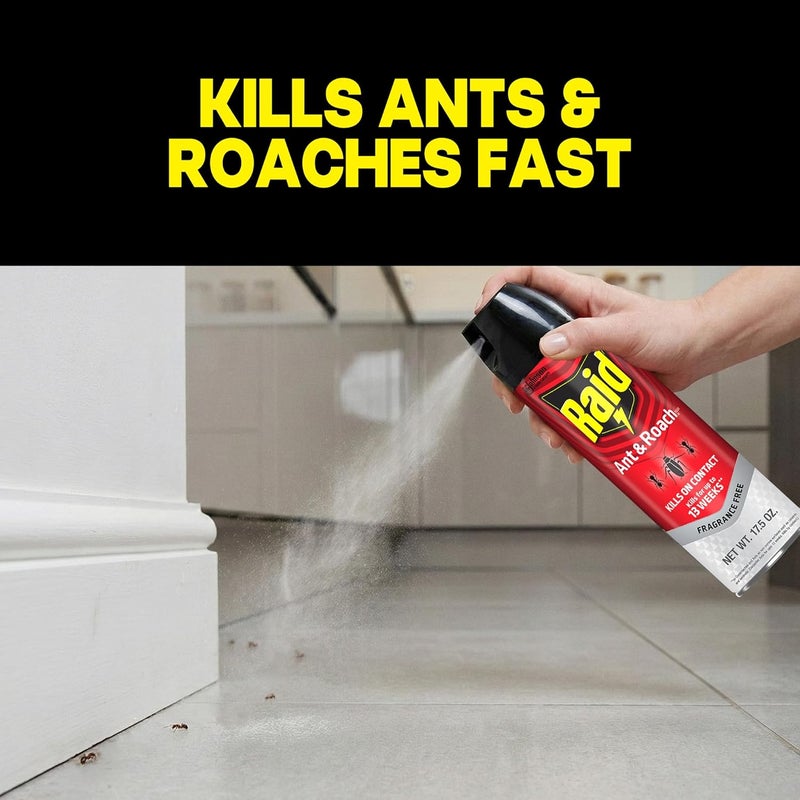 SC Johnson RAID ANT & ROACH KILLER 17.5 OZ - Image 1