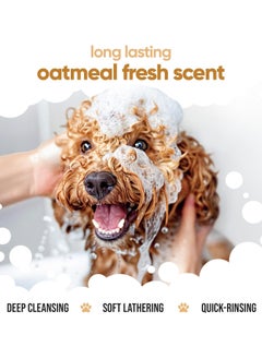 Buddy Oatmeal Dog Shampoo Shampoo for Dogs with Irritated Skin Relieving and Rehydrating With Aloe Vera and Pro Vitamin B5 500ml  - Image 5
