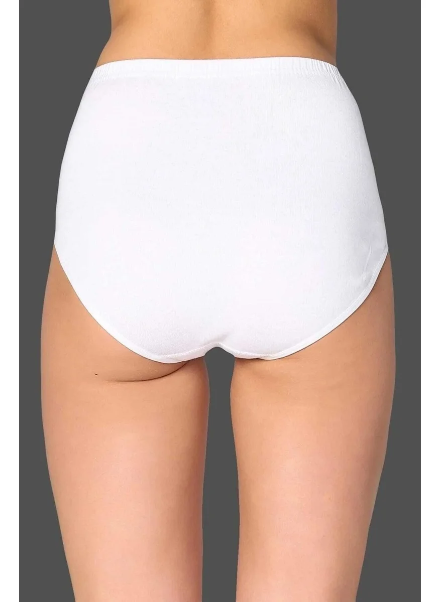 Gümüş Silver Women Ribana High Waist Bato Panties 3040/3041 - 6 Pieces
