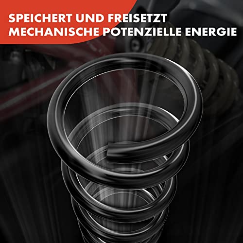 A-Premium 2Pcs Rear Suspension Coil Springs Set Compatible with Ford Focus 2005 2006 2007 2.0L, Driver and Passenger Side, Replace# 5S4Z5B669BA - Image 3