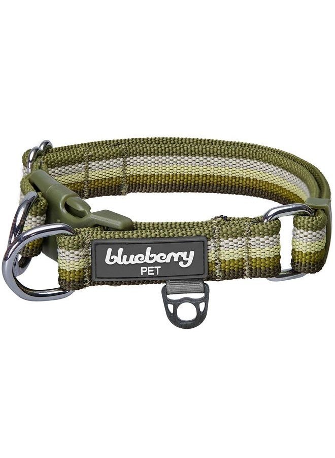 Blueberry Pet Multi-Colored Stripe Adjustable Dog Collar, Olive, X-Large, Neck 18"-26"  - Image 1