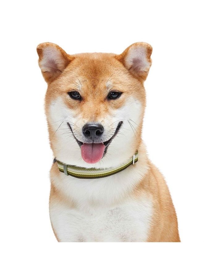 Blueberry Pet Multi-Colored Stripe Adjustable Dog Collar, Olive, X-Large, Neck 18"-26"  - Image 2
