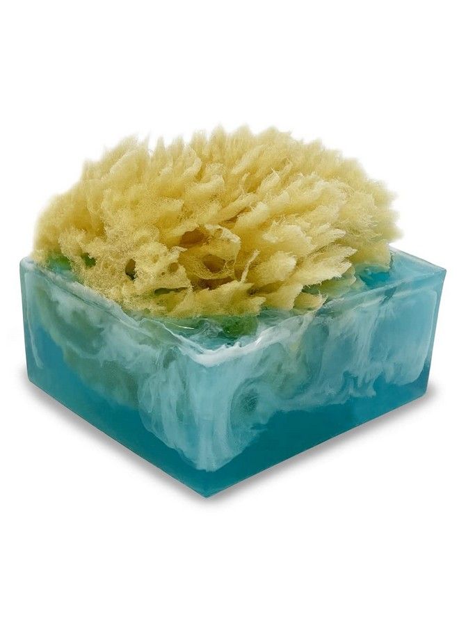 Primal Elements Facets Of The Sea Spongebar Soap (Pack Of 2) - Image 2