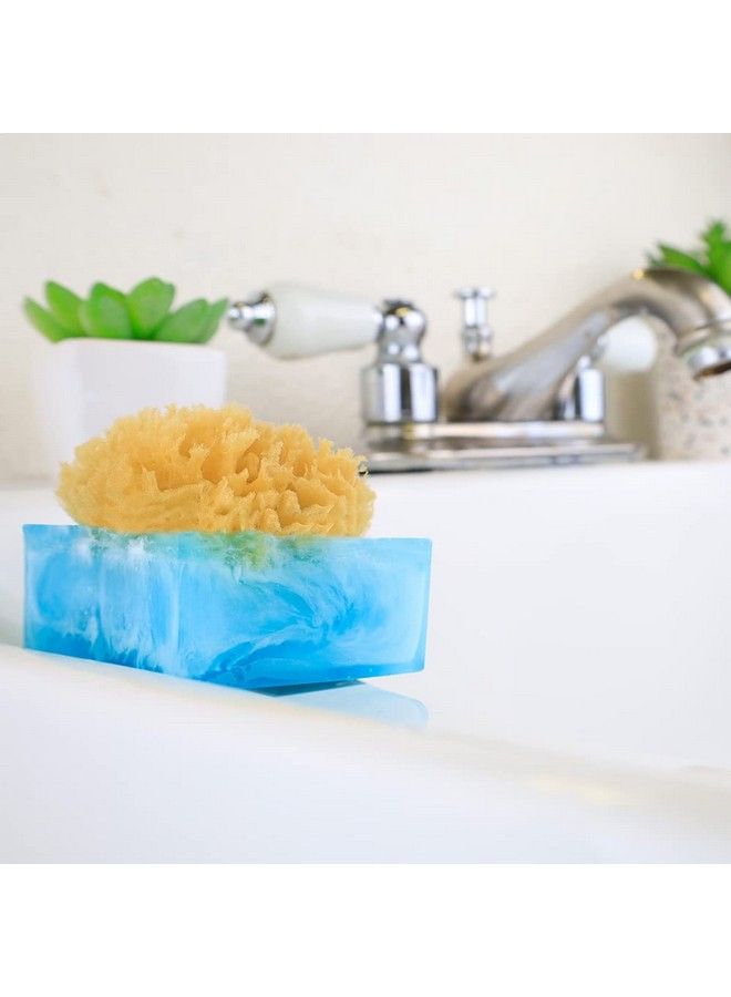 Primal Elements Facets Of The Sea Spongebar Soap (Pack Of 2) - Image 5