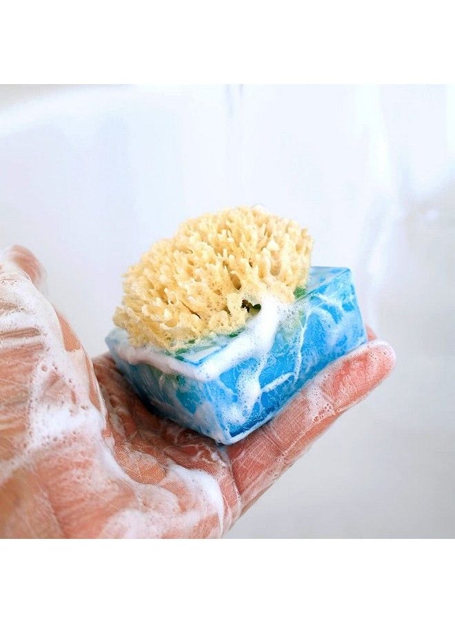 Facets Of The Sea Spongebar Soap (Pack Of 2) - pzsku/ZE4788FF24F5C6125F7BBZ/45/_/1683530136/8b703823-c592-4650-b889-f3718803ac82