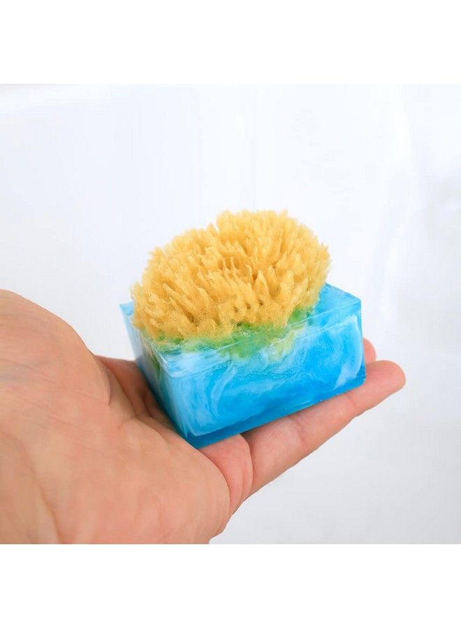 Primal Elements Facets Of The Sea Spongebar Soap (Pack Of 2) - Image 4