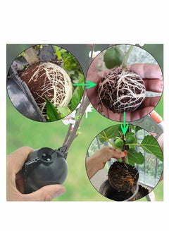 Excefore 15Pcs Plant Root Growing Box Grafting Device, Rooting Ball Propagation High Pressure, Assisted Cutting Plants Rooting Growing Breeding for Reproduction Equipment(S)  - Image 4