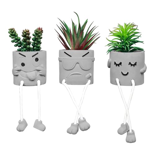Zerzsy Artificial Succulent Set, Succulents Plants Artificial, Fake Mini Plants in Pots, Faux Plants Kitchen Shelf Desk Decor, Small Bathroom Decor for Shelves (3 PCS Set/B) - Image 1