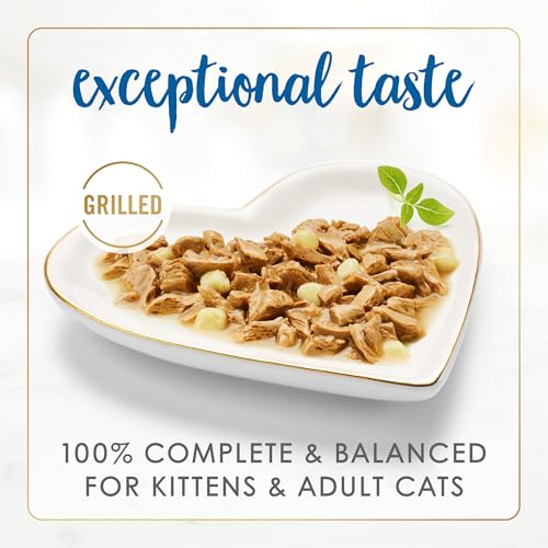 Fancy Feast Purina Fancy Feast Delights With Cheddar Grilled Whitefish and Cheddar Feast in Wet Cat Food Gravy Cat Food - (Pack of 24) 3 oz. Cans - Image 3
