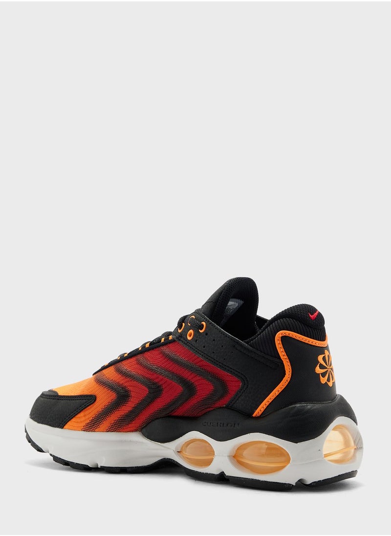 Nike - Air Max Tw Amd - Image 1
